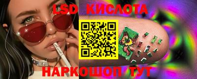 ГАЛЛЮЦИНОГЕННЫЕ ГРИБЫ Кандалакша